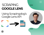 Scraping Google Lens using Scringdog