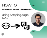 Monitor Brand Sentiment Using Scrapingdog API
