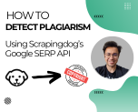 Detect plagiarism using google search api