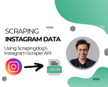 Instagram Post Scraper API