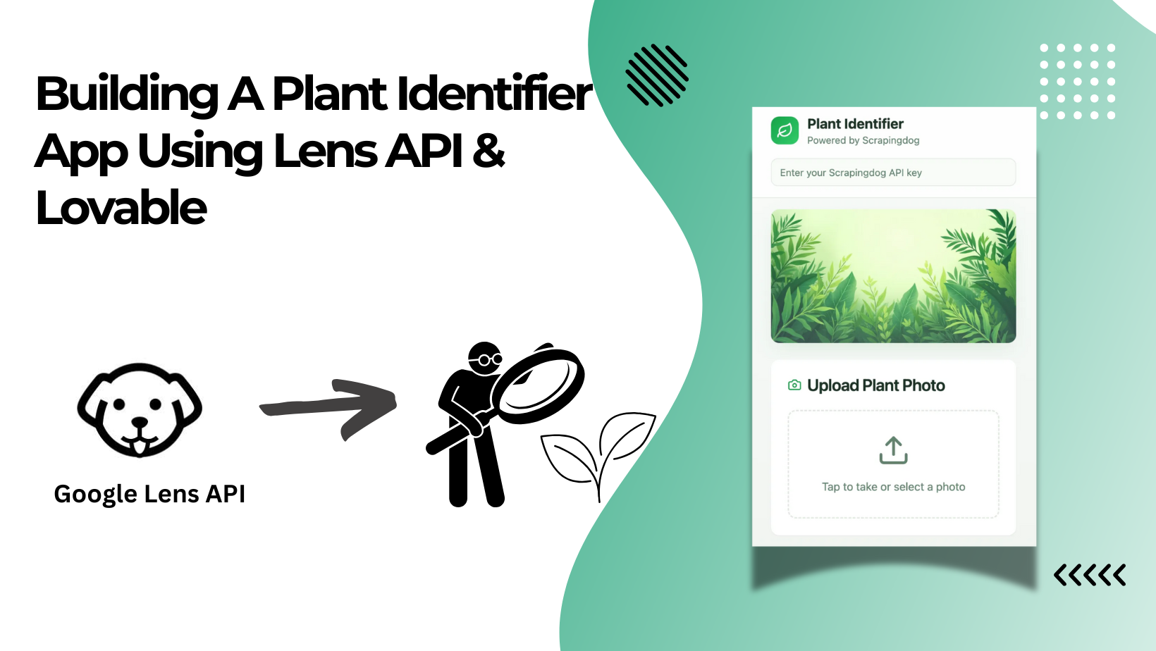 Buiding Plant Identifier App using Lovable & Lens API