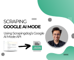 Google AI Mode API