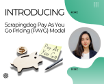 PAYG Model