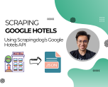 Scrape Google Hotels